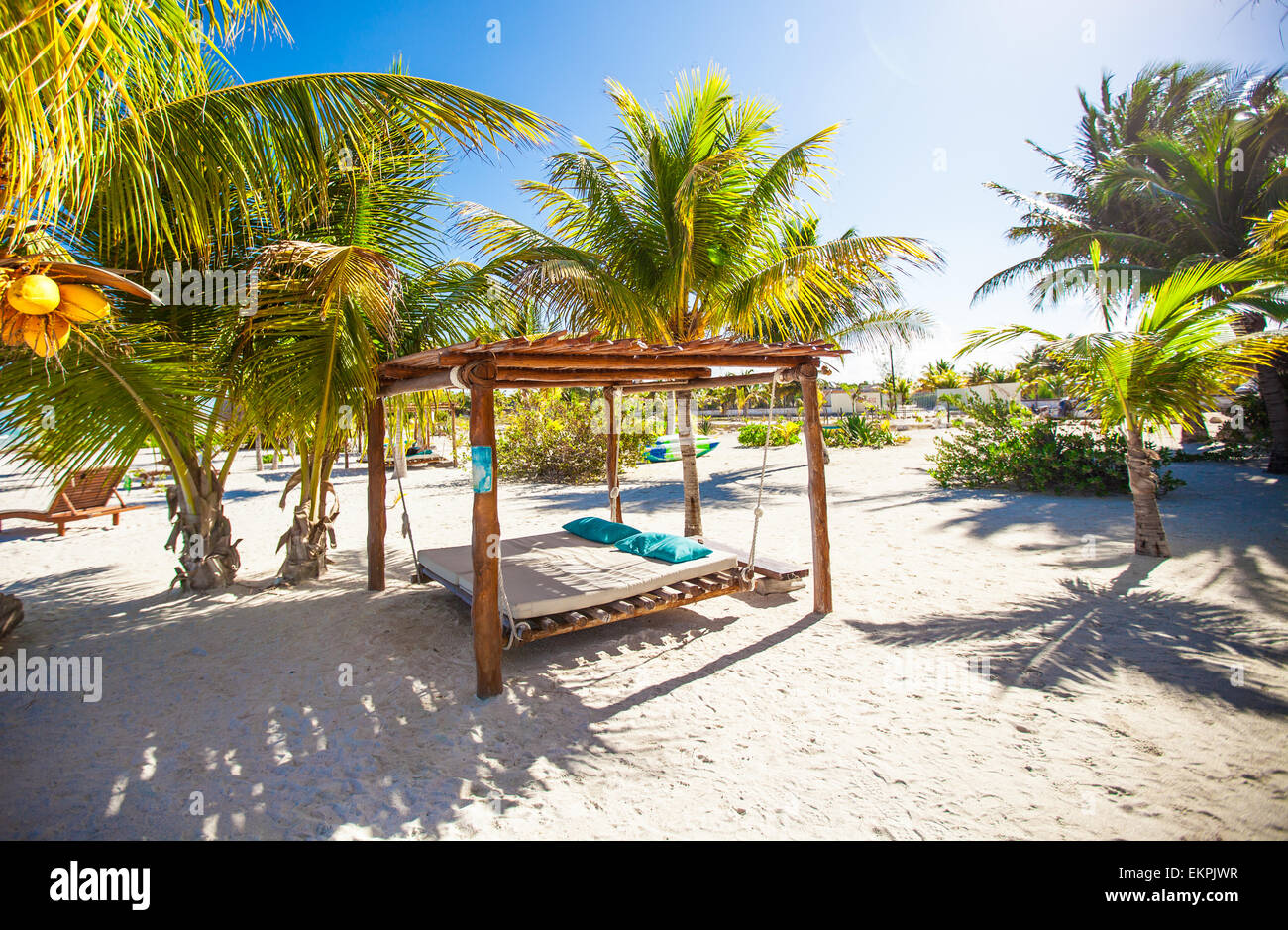 Beach beds and hammocks among palm trees at perfect tropical coast