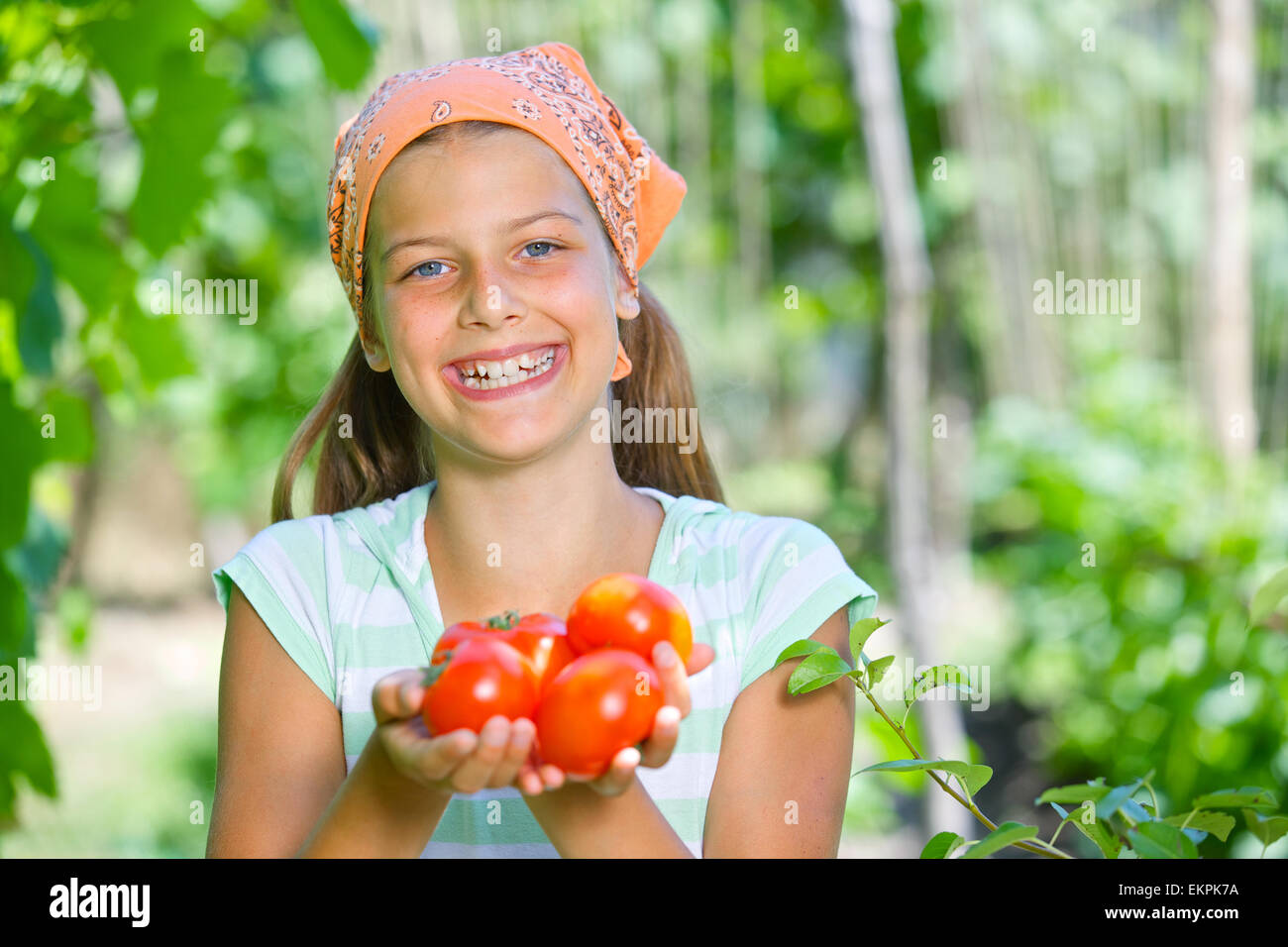 Girl holding a tomatoes Stock Photo - Alamy