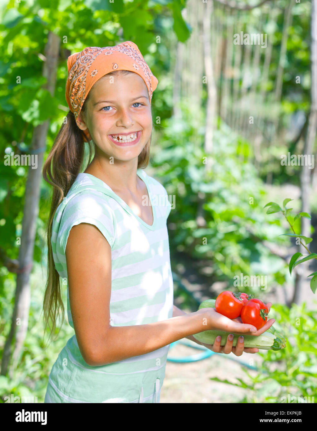 Girl holding a tomatoes Stock Photo - Alamy