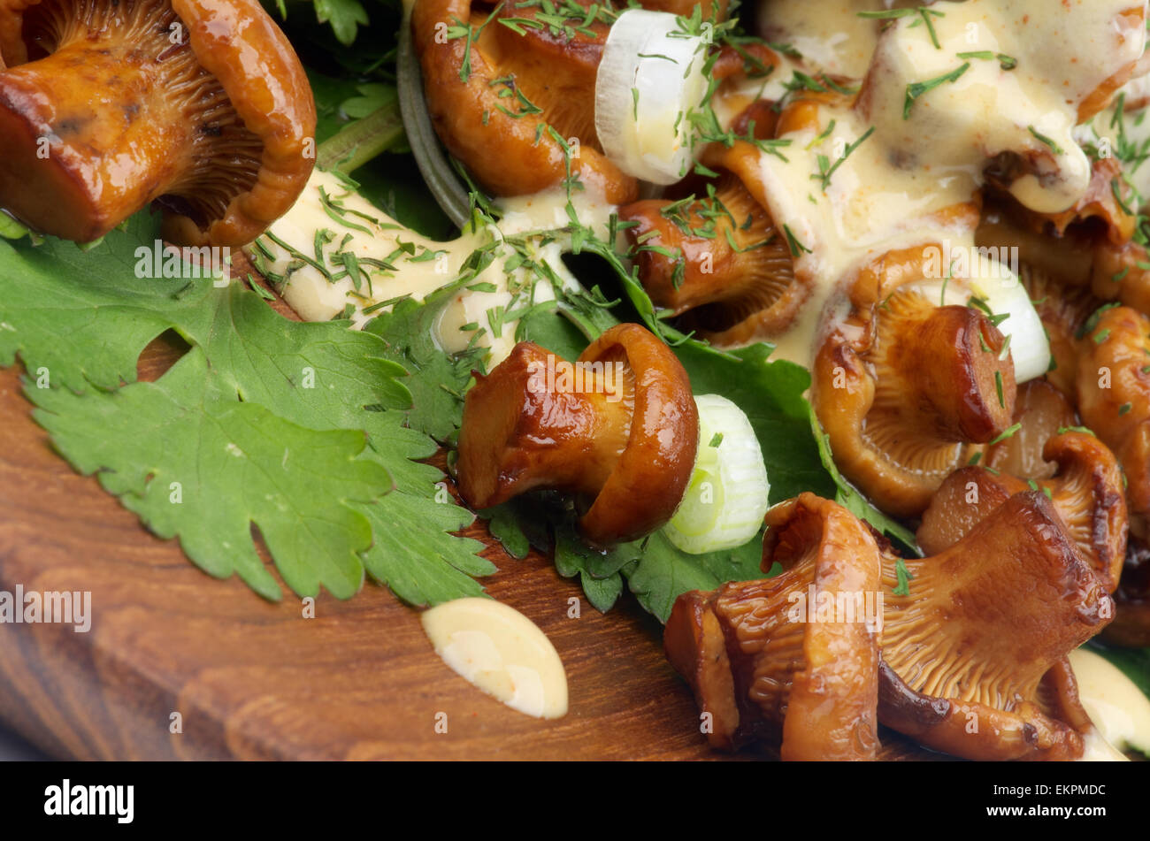 Roasted Chanterelles with Cheese Sauce Stock Photo Alamy