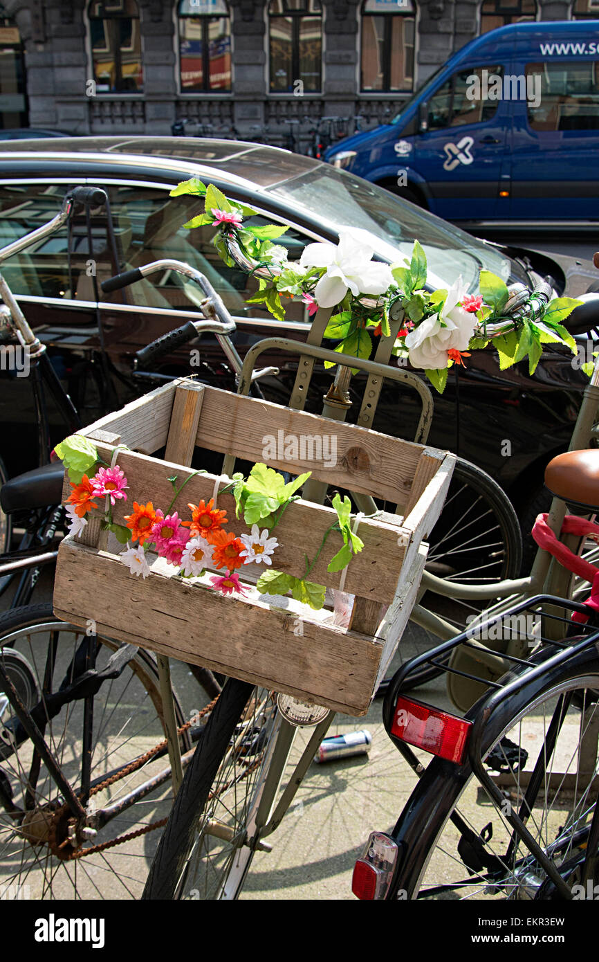 Brightly colored flowers in boxes on bicycles in central Amsterdam. Stock Photo