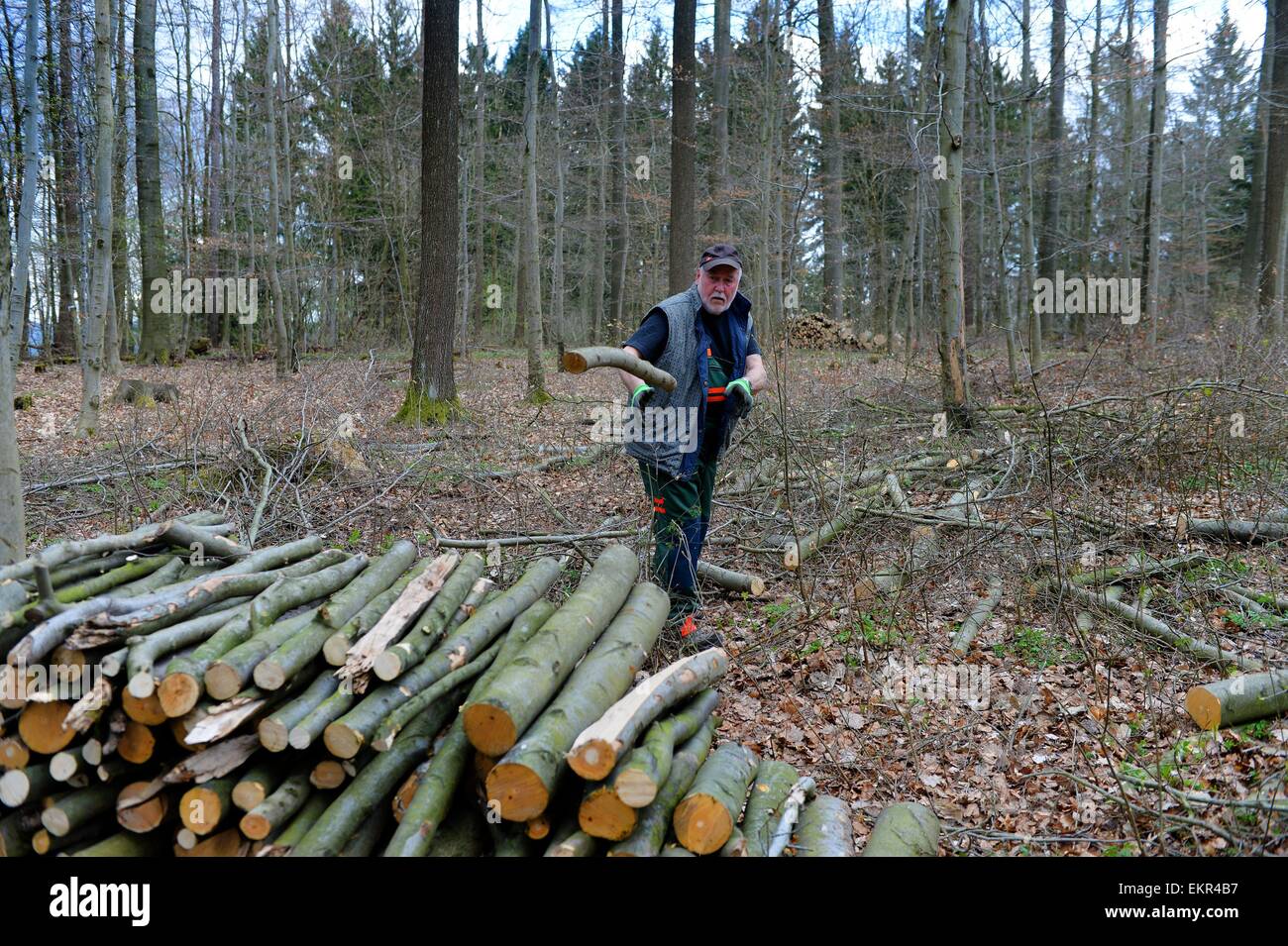 Abgesaegt High Resolution Stock Photography and Images - Alamy