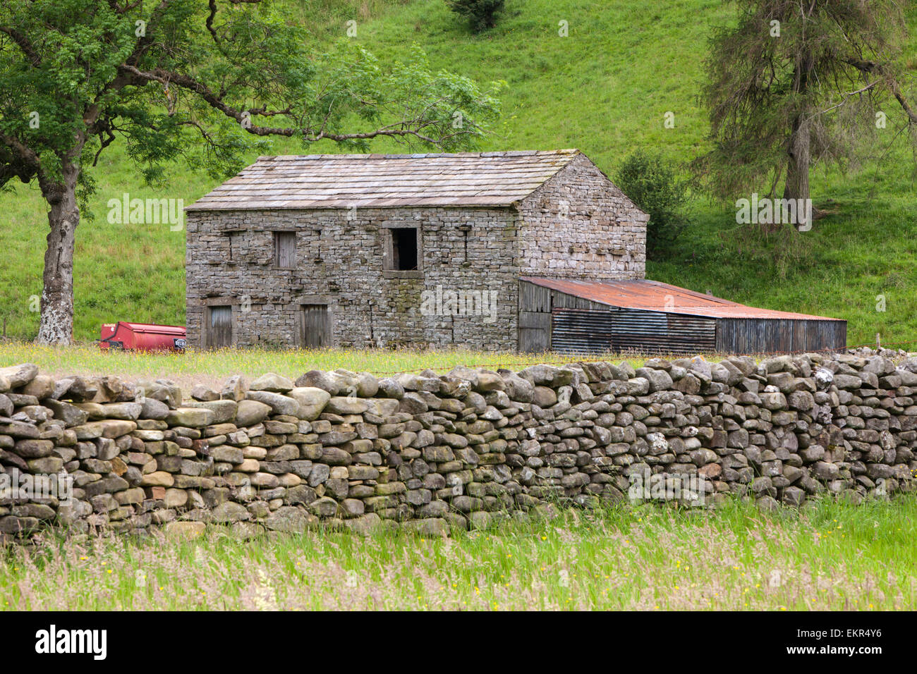 A Swaledale stone barn and drystone wall, Swaledale, Yorkshire Dales National Park, North Yorkshire, England, UK Stock Photo