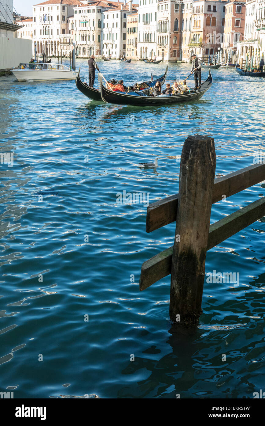 Venetian Gondolas in Canal Grande in Venice Stock Photo - Alamy