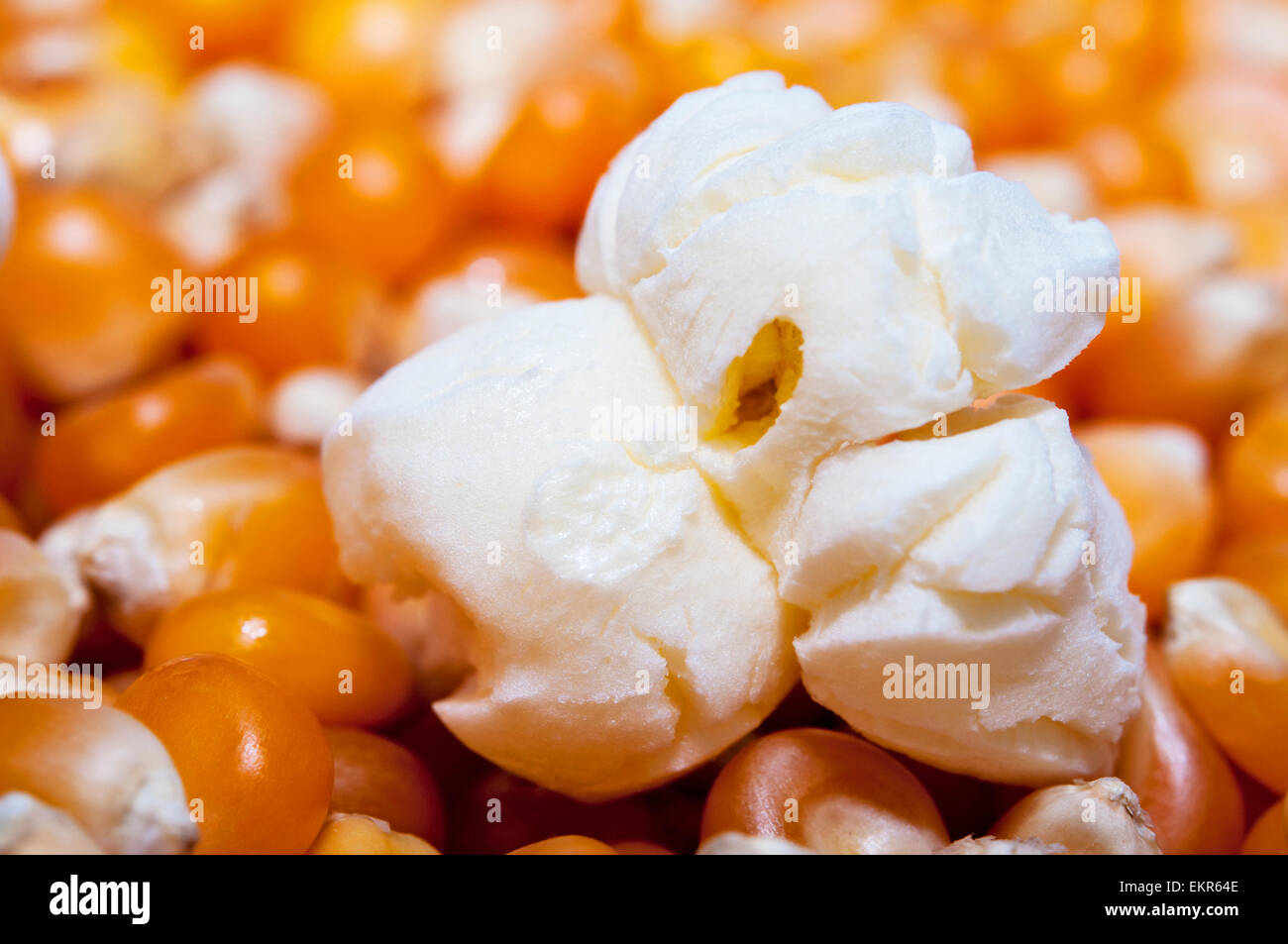 Linseed stock image. Image of eating, kernels, backgrounds - 34759773