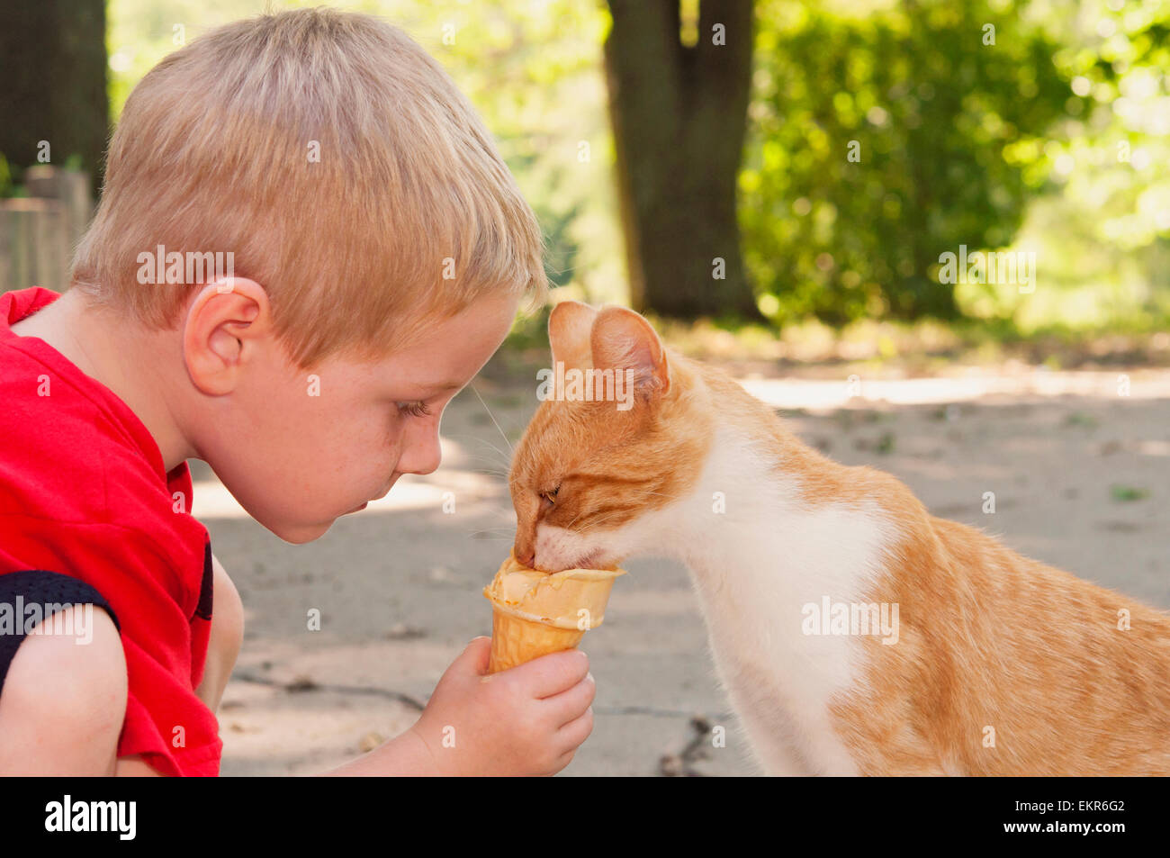 Child feeding cat his ice-cream cone Stock Photo