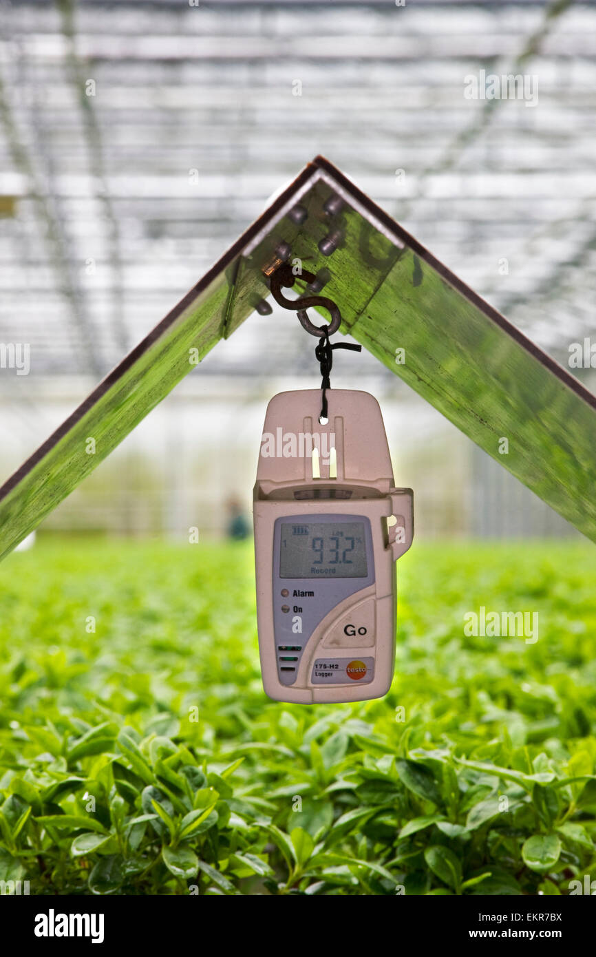 Temperature and humidity data logger in greenhouse Stock Photo