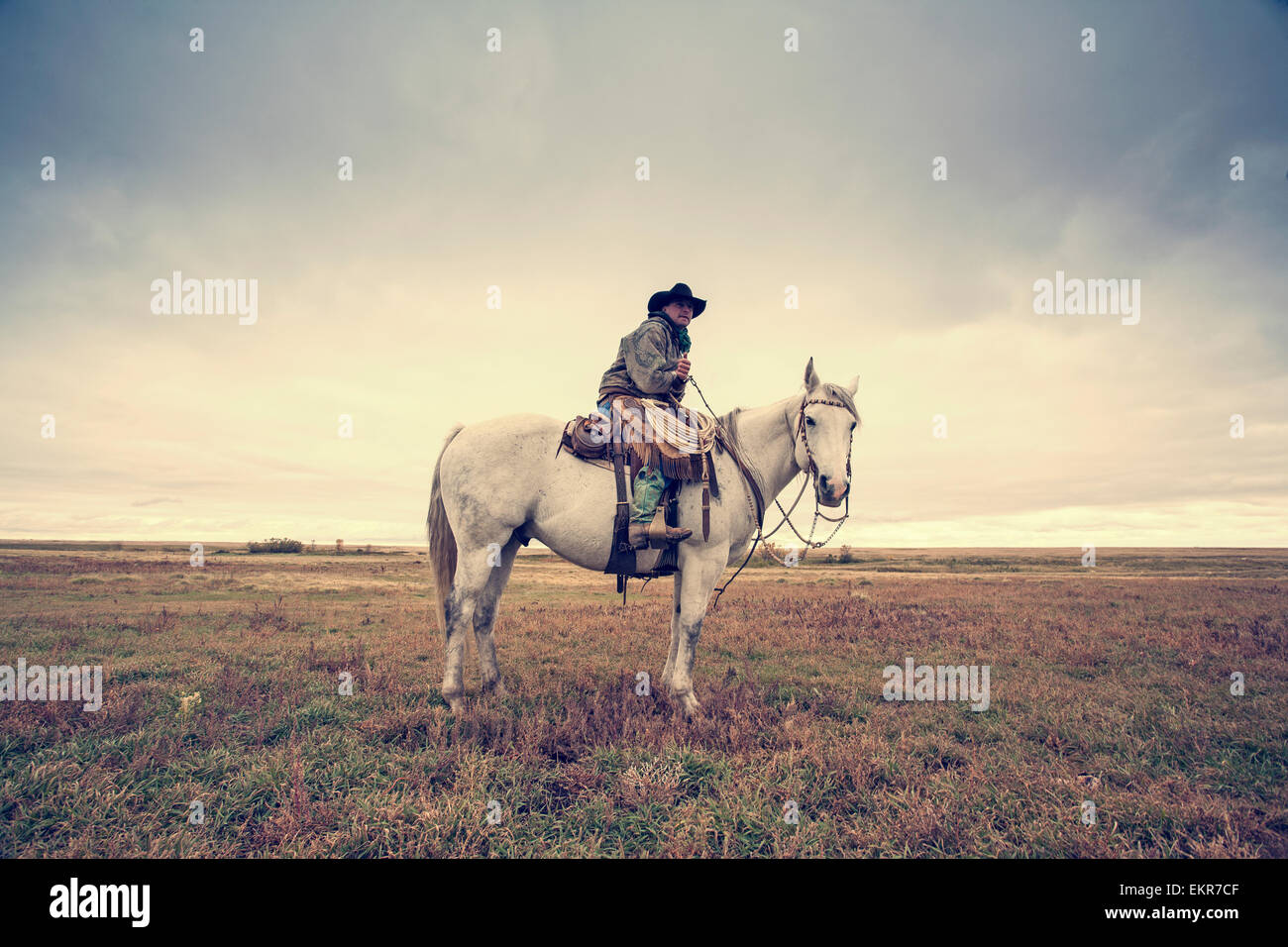 Cowboy trousers hi-res stock photography and images - Alamy