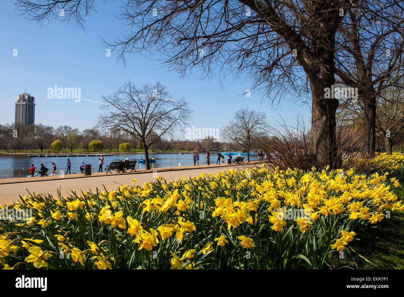 A beautiful view of Hyde Park in London at Spring time Stock Photo Alamy