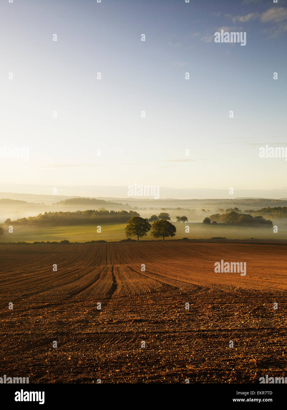 A ploughed field and view over surrounding undulating hills, at dawn with a mist rising from the land. Stock Photo