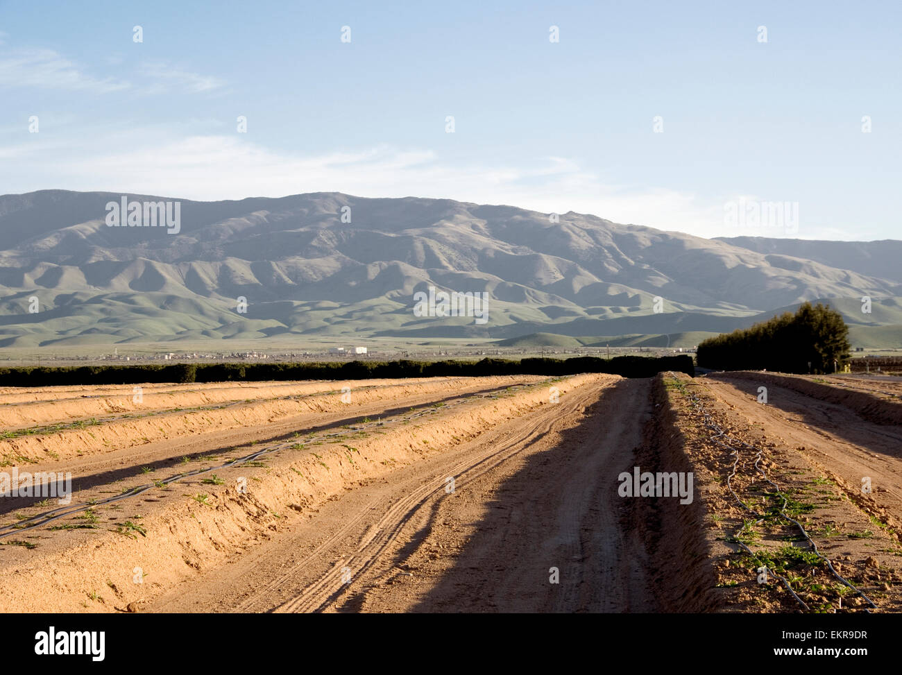 Dry irrigation channel on California farmland showing the critical importance of irrigation to California agriculture. Stock Photo