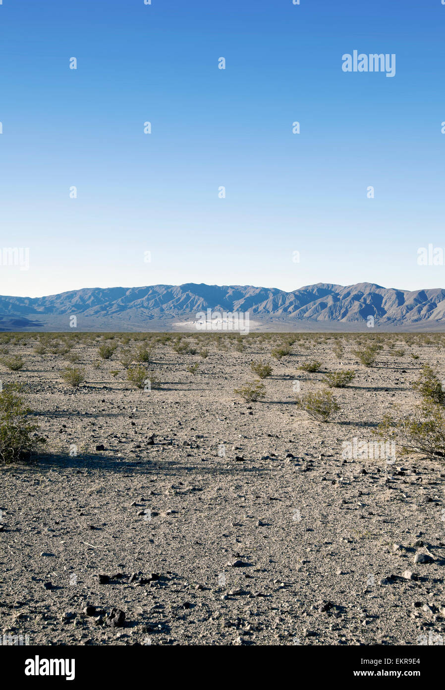 Drought in Death Valley, California, 2012 Stock Photo