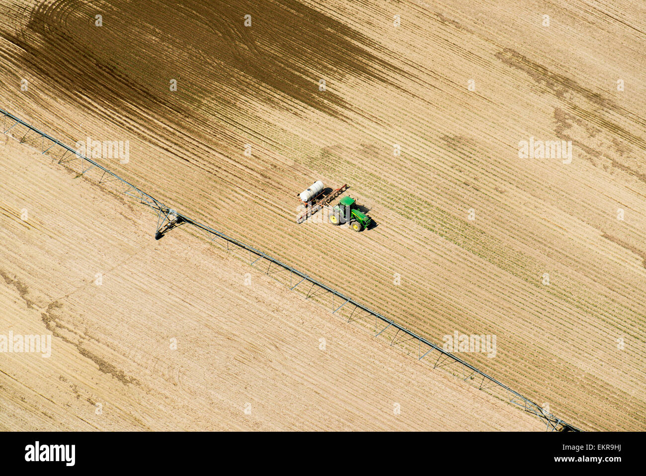 Aerial view of spray application in an early growth grain corn field on
