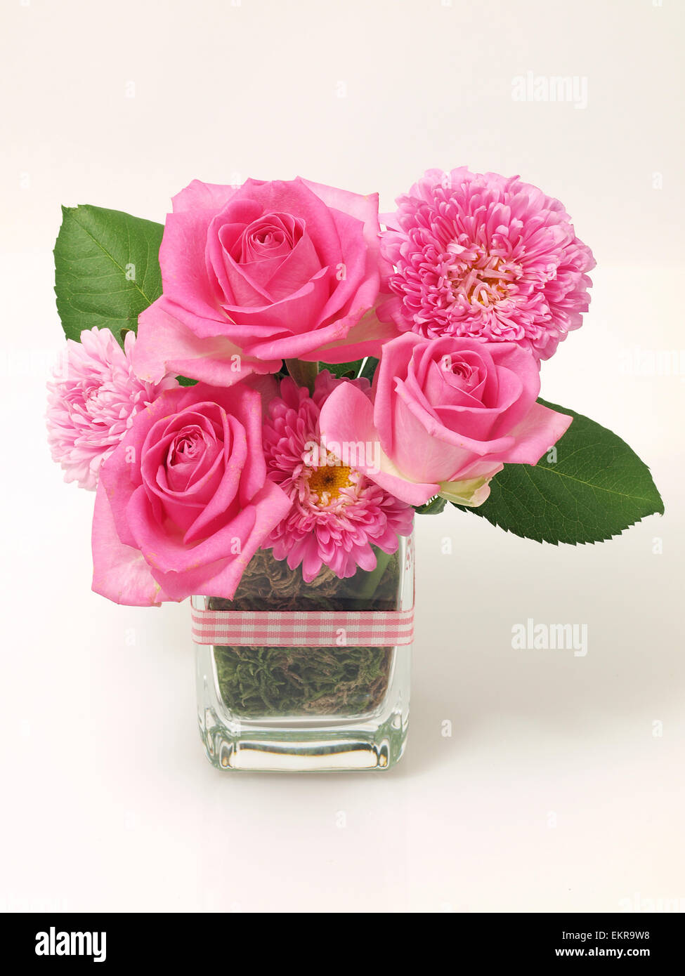Beautiful Pink rose flowers Stock Photo