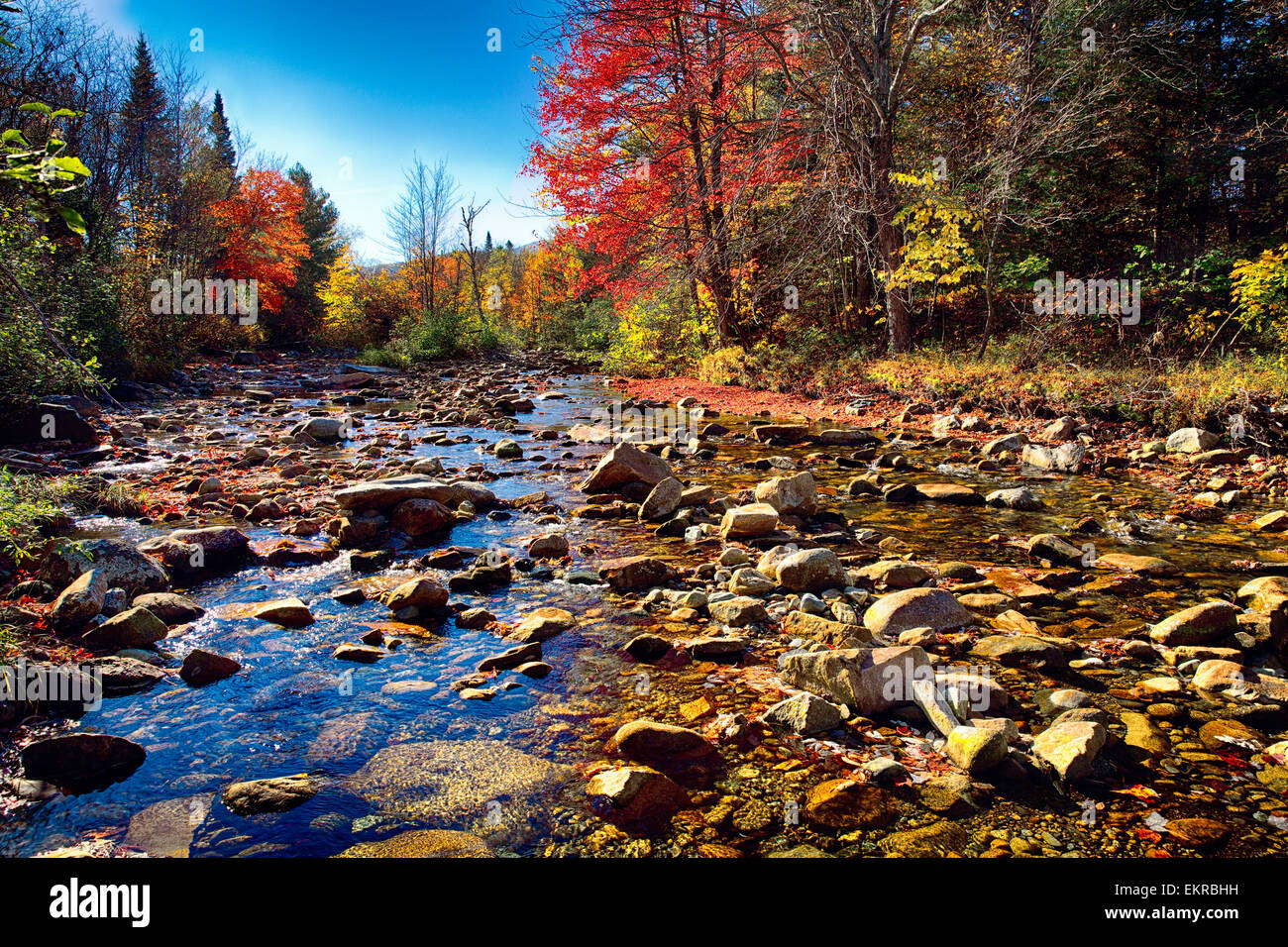 Low Angle View of a Rocky River Bed with Fall Foliage, Franconia, New Hampshire, USA Stock Photo