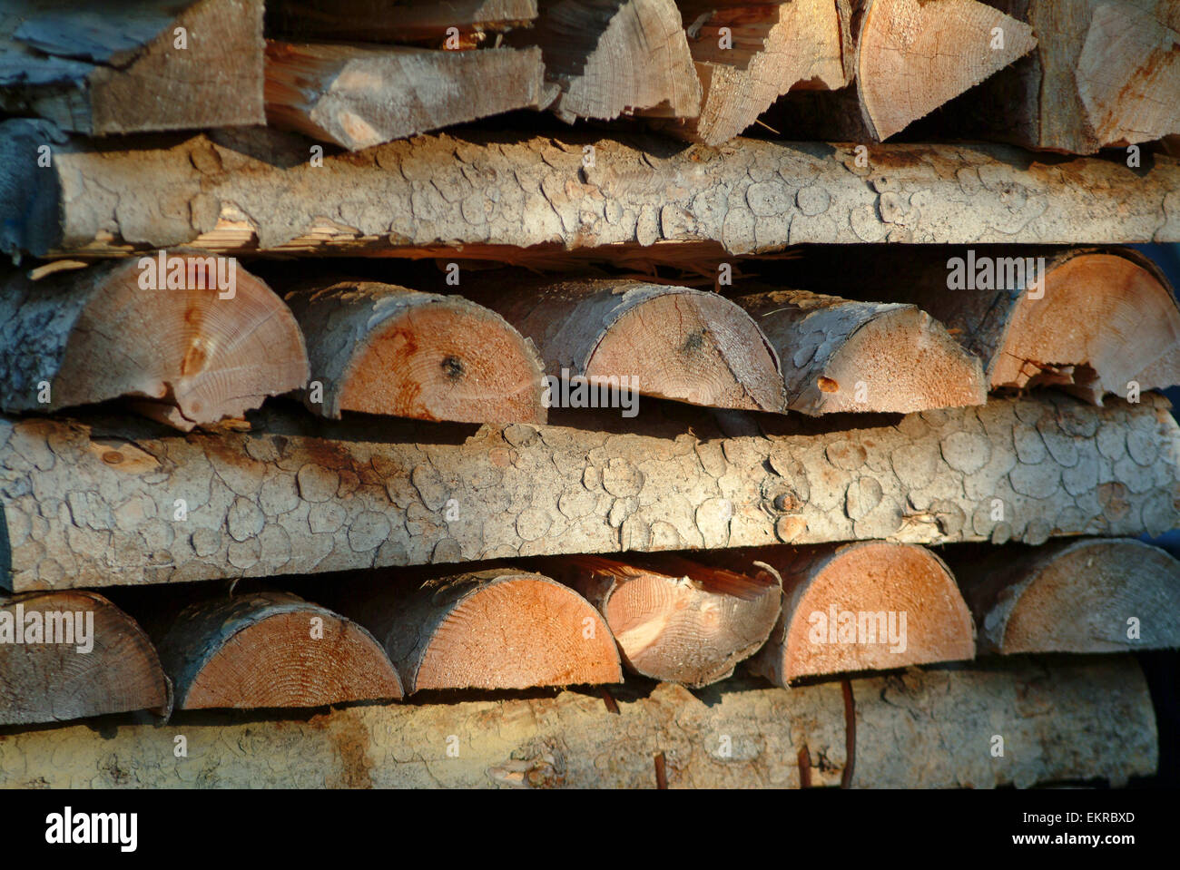 Wood stacked to dry for log fire Stock Photo Alamy