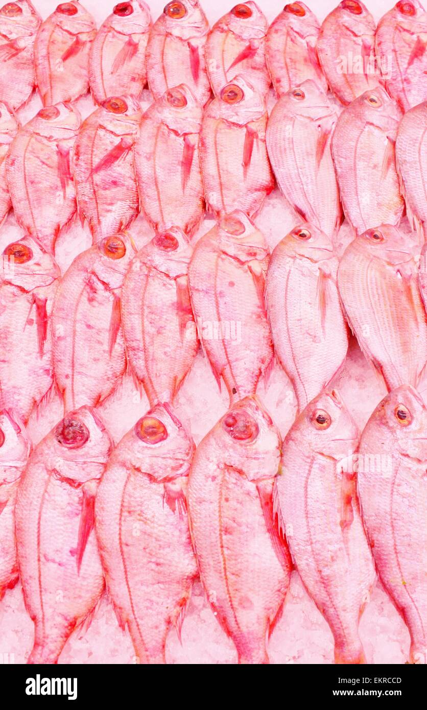 Red snapper fish at fishmonger Stock Photo