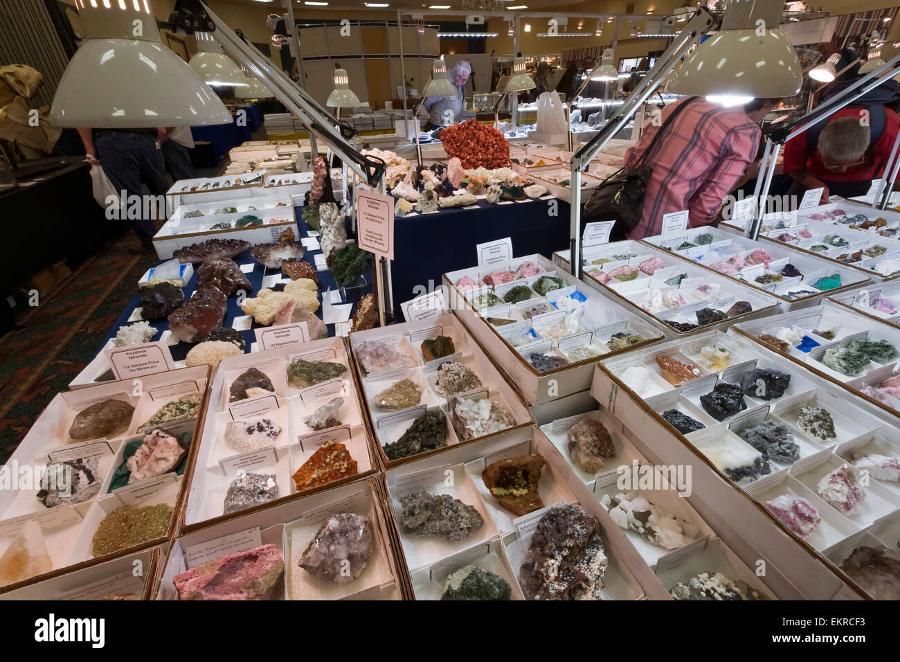 Rocks and minerals for sale, Tucson Gem and Mineral Show, Tucson, Arizona Stock Photo