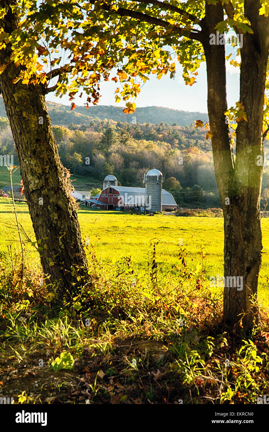 Low Angle View of a Classic American Farm, Arlington, Vermont Stock Photo