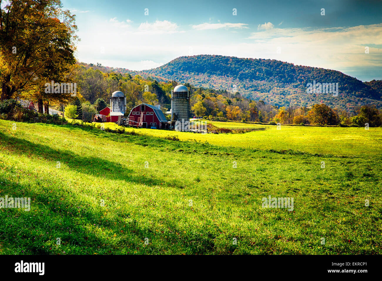 Low Angle View of a Classic American Farm During Fall, Arlington, Vermont Stock Photo