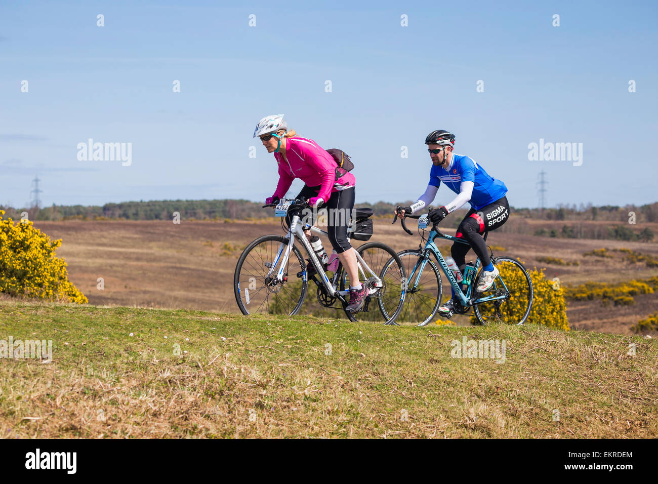 A female and male cyclist compete in the New Forest Wiggle Sportive event on a sunny Sunday in Spring Stock Photo