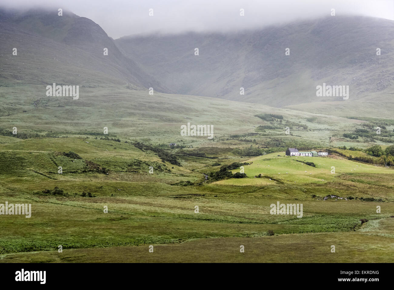 Misty landscape at Ladies View, Killarney National Park, Iveragh Peninsula, County Kerry, Ireland Stock Photo