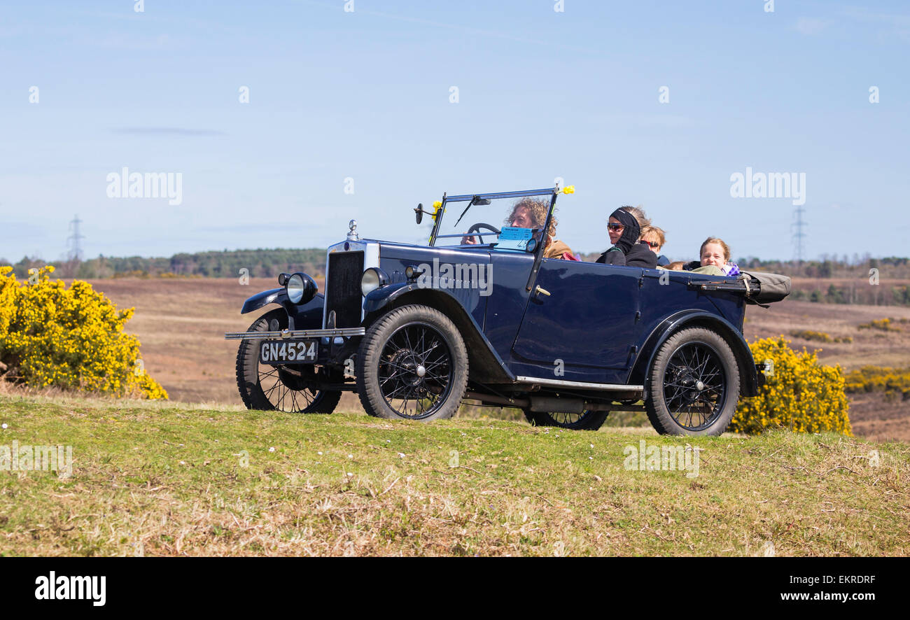 A vintage car competing in the Daffodil Run in the New Forest on a ...