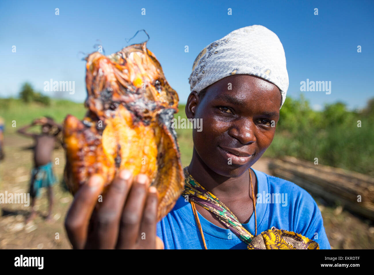 Dried cat fish for sale in the Shire Valley, Malawi. Stock Photo