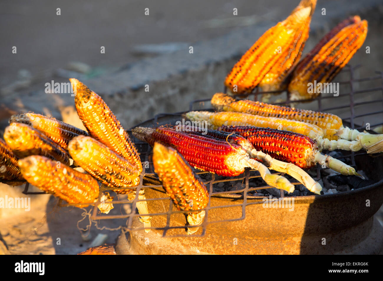 Maize, the staple diet of Malawi being grilled at an African market on the roadside in Ckiwawa, Malawi, Africa. Stock Photo