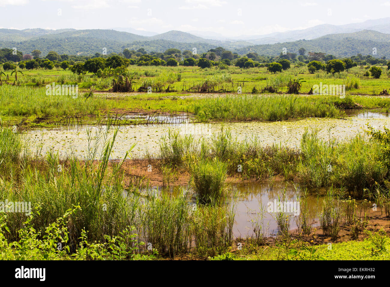 Flood erosion hi-res stock photography and images - Alamy