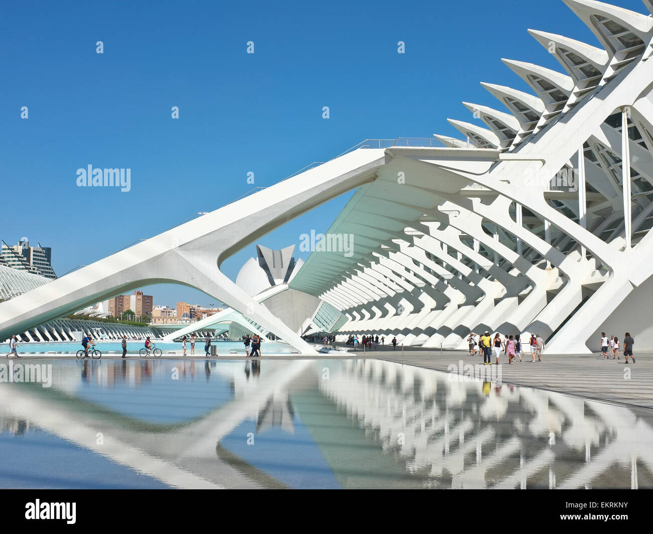 Valencias ciudad de las artes hi-res stock photography and images - Alamy