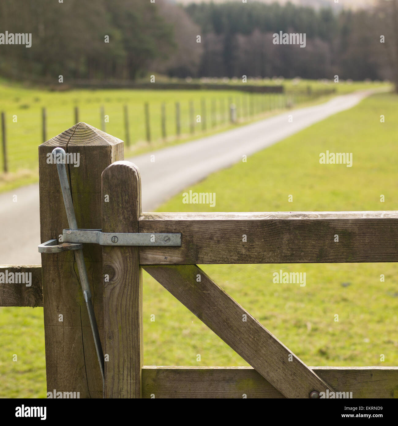 close up of a gate spring latch on a quiet country lane Stock Photo Alamy