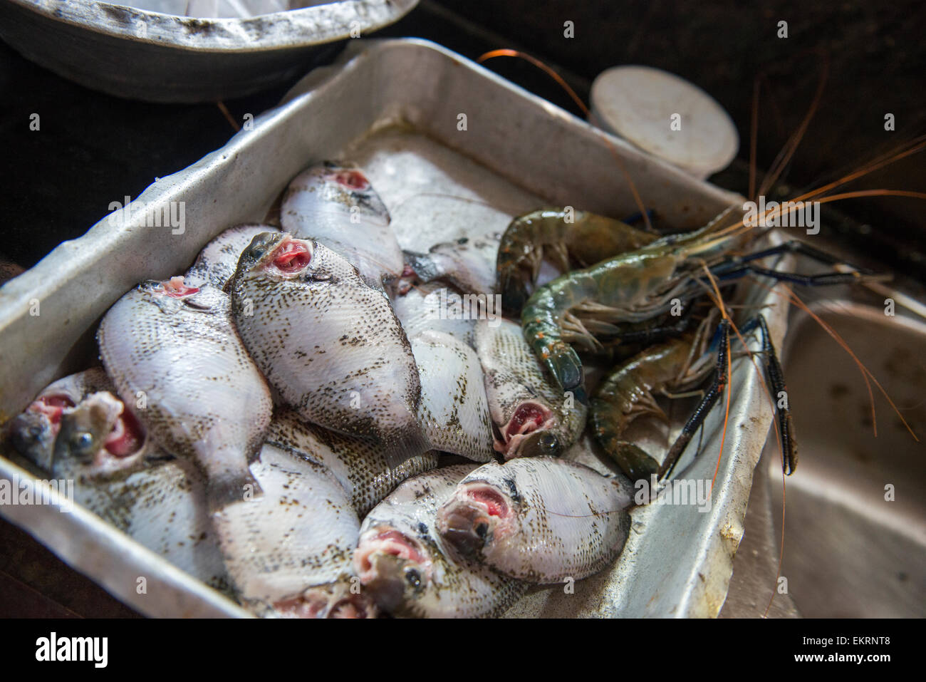 Fresh fish in the kitchen of a house on the Backwaters of Kumarakom ...