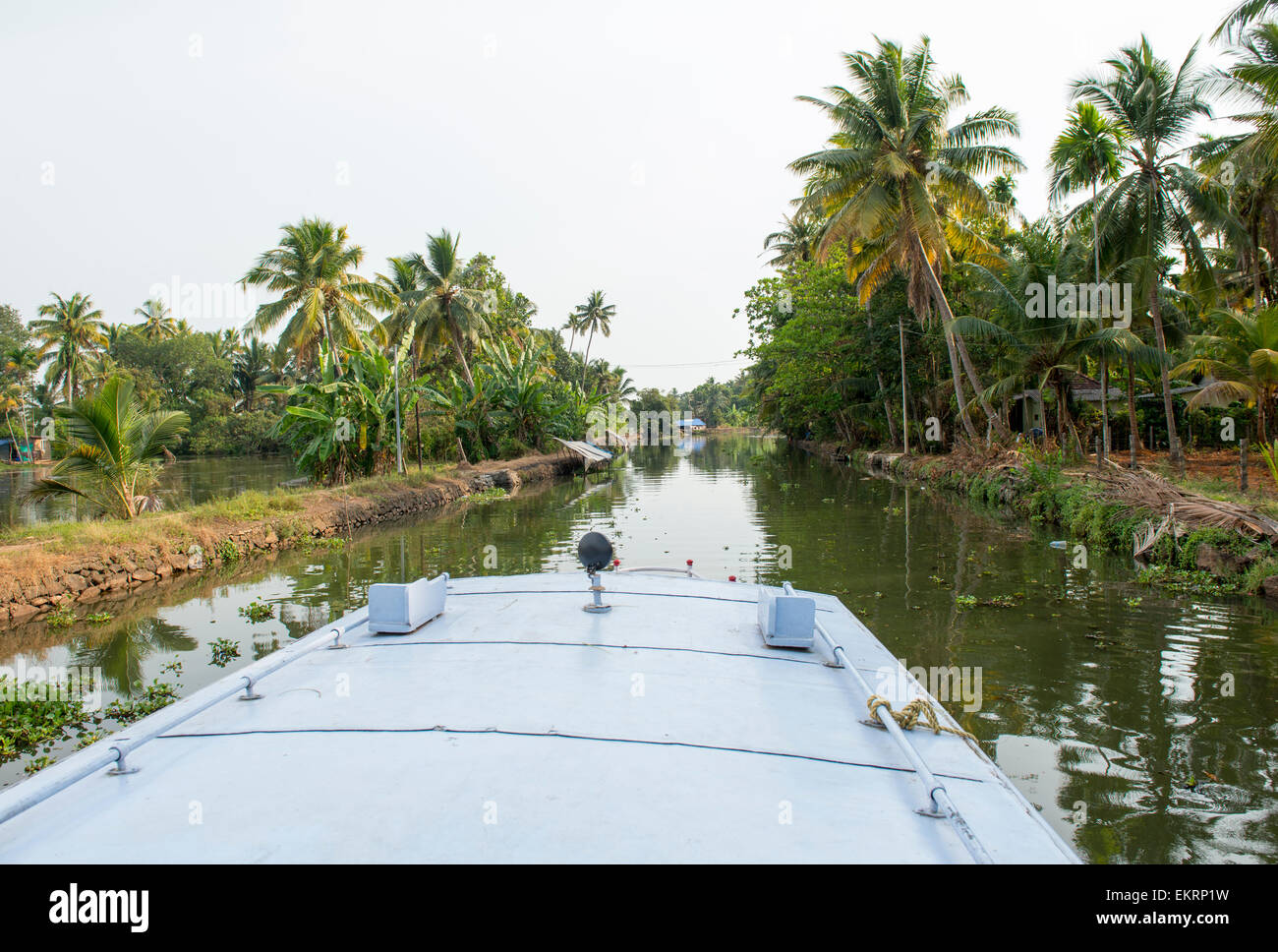View of the backwaters of Kumarakom from the top of a boat, Kerala India Stock Photo