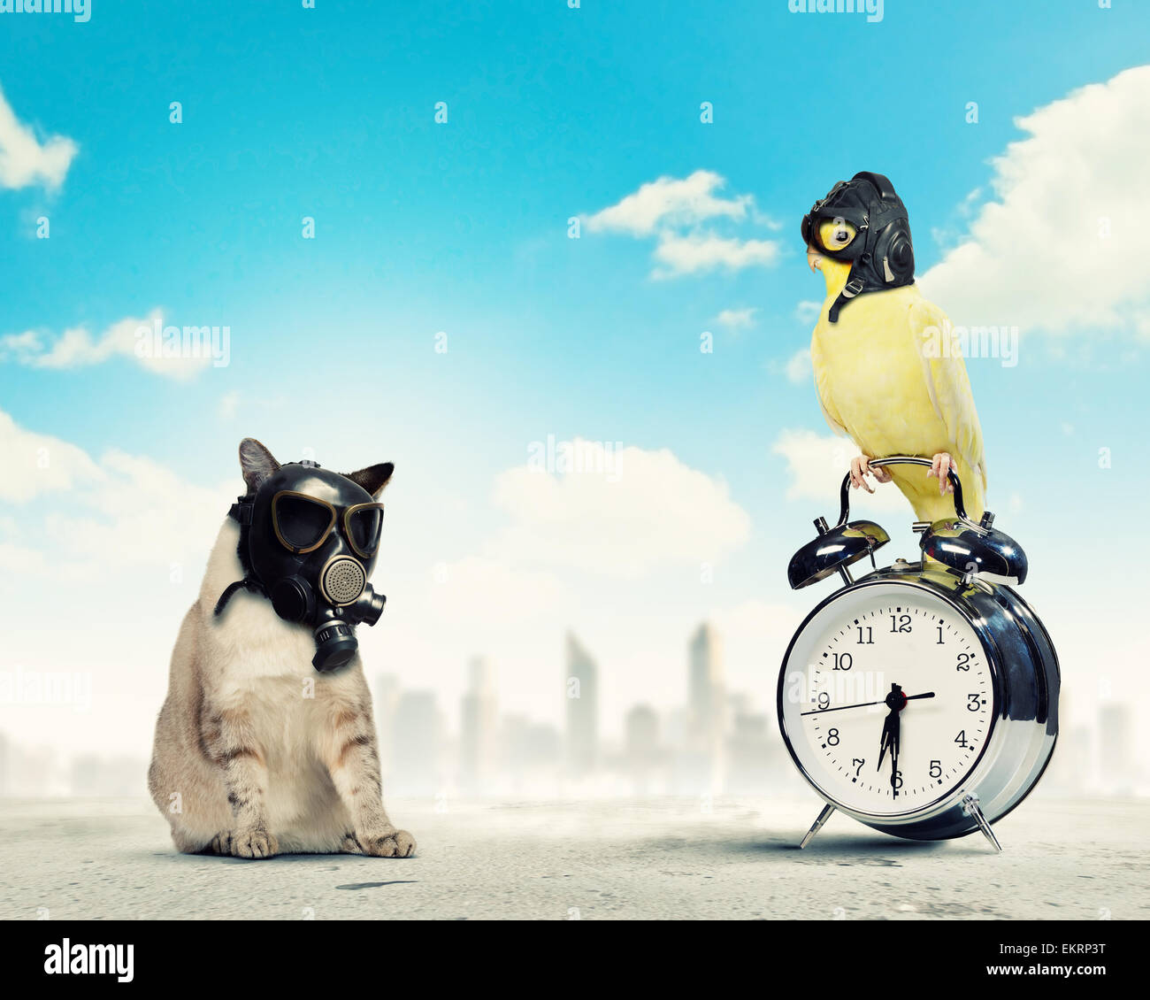 Cat masks hires stock photography and images Alamy