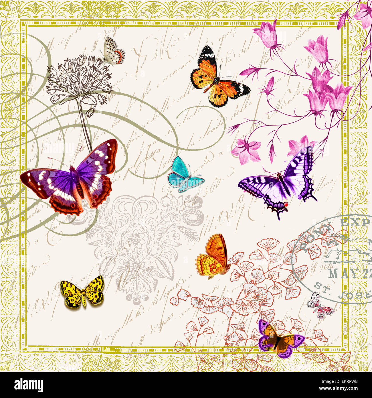 Illustration Botany Graphic Flower Design Paper Drawing Stock Photo Alamy alamy