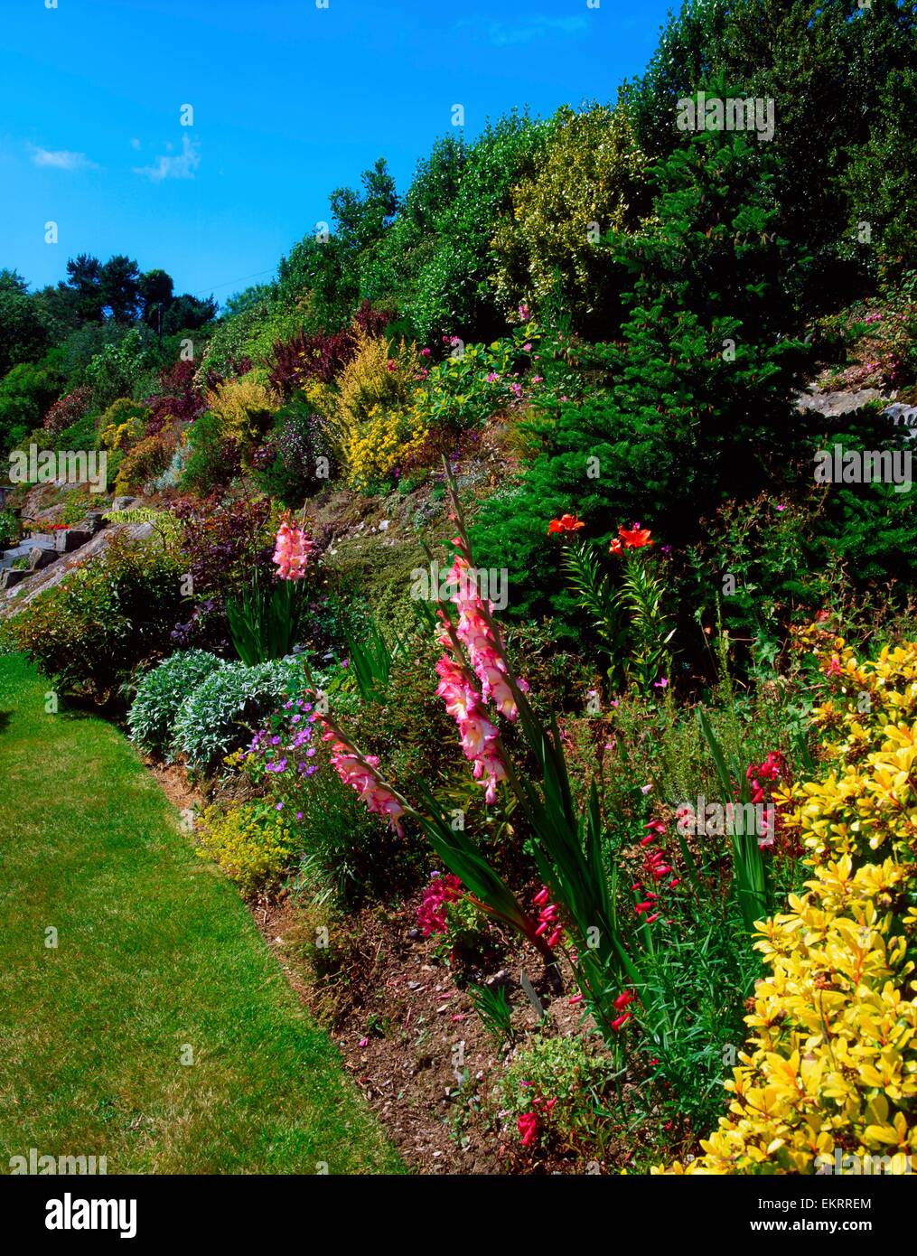 Kilcrohane, Co Cork, Ireland; Mixed Border During Summer Stock Photo Alamy