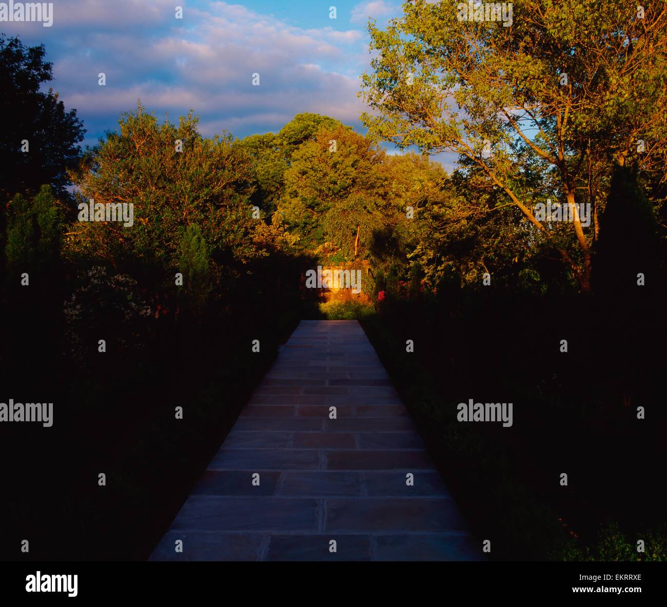 Trim, Co Meath, Northern Ireland, Pathway To The Medusa Fountain At Butterstream Gardens Stock