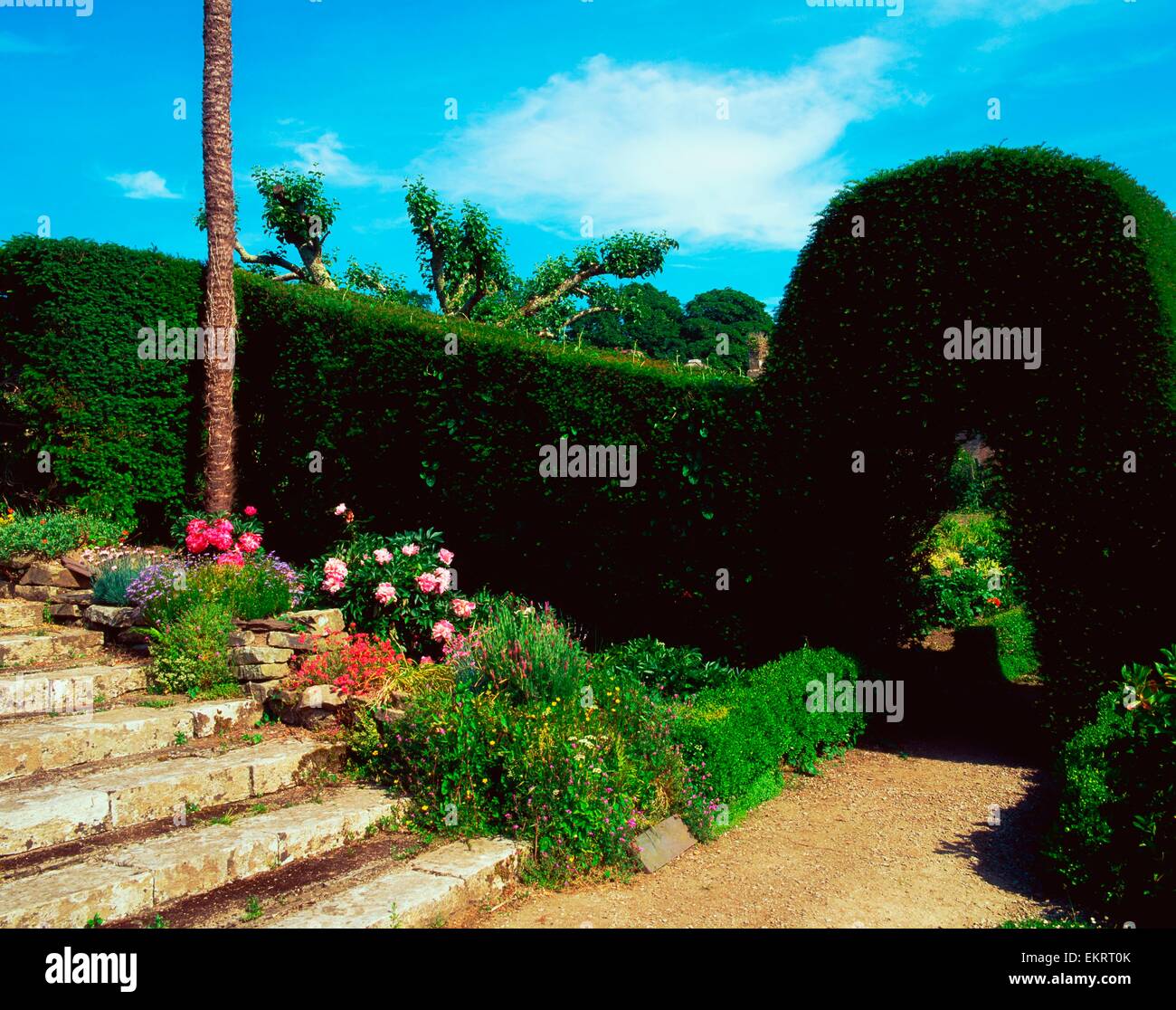Lismore Castle, Co Waterford, Ireland; Yew Arch In The Gardens Stock Photo