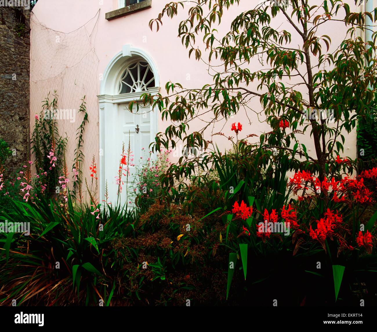 Ardsallagh House, Co Tipperary, Ireland; Courtyard Wth Informal