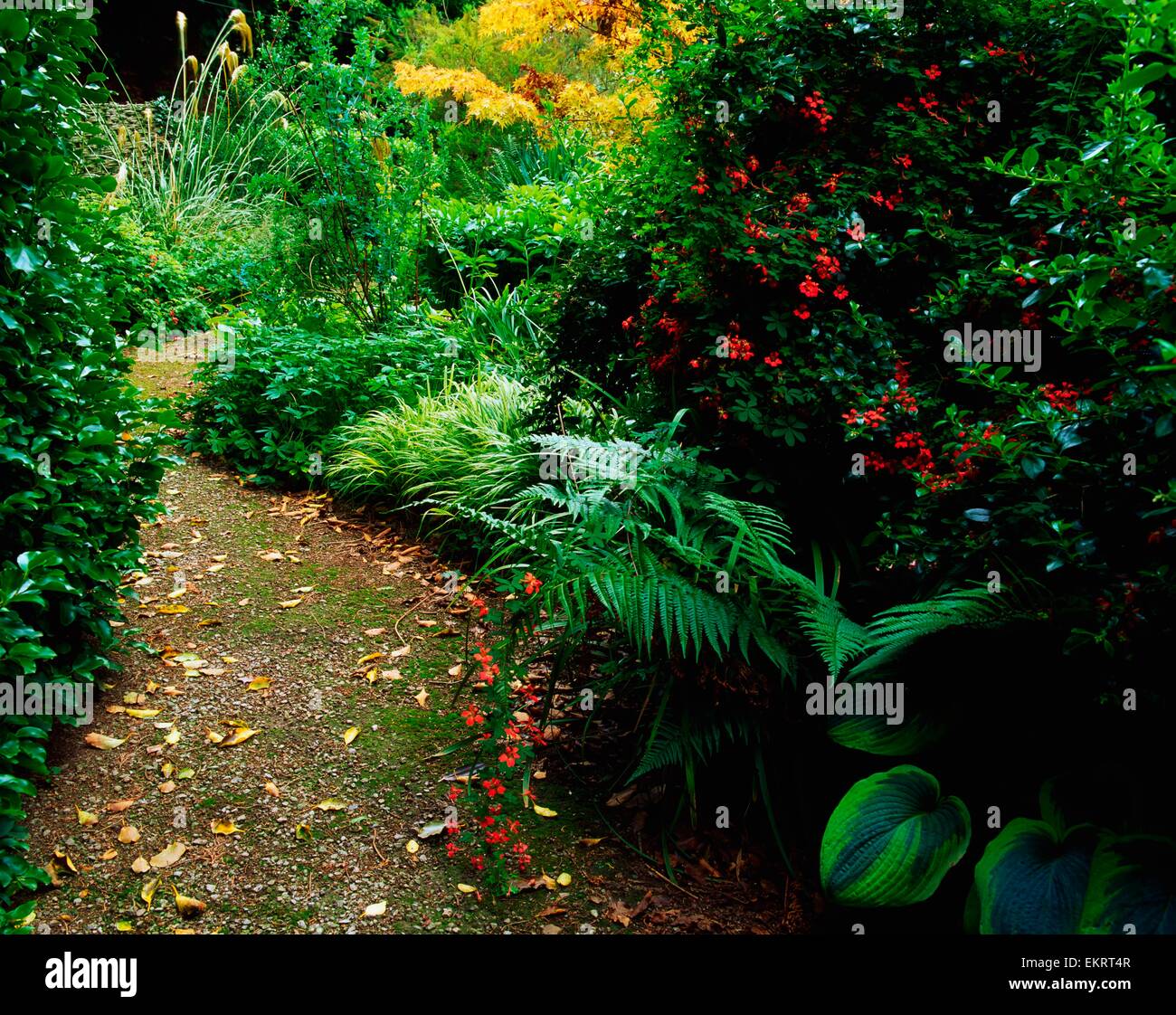 Ardsallagh house hires stock photography and images Alamy