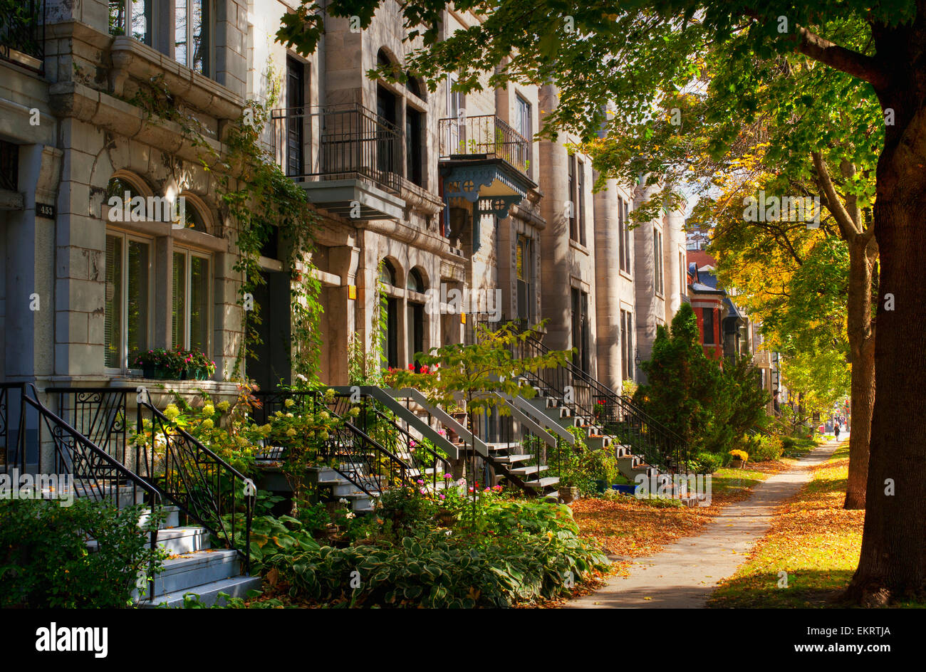 Apartment buildings along city street; Montreal, Quebec, Canada Stock
