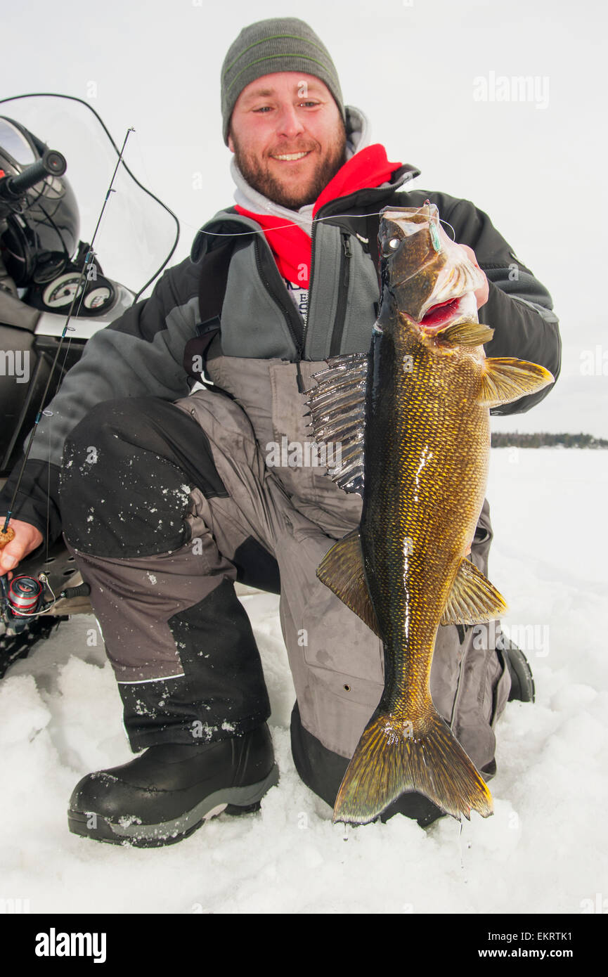 Ice fisherman holding a large walleye fish; Ontario, Canada Stock Photo