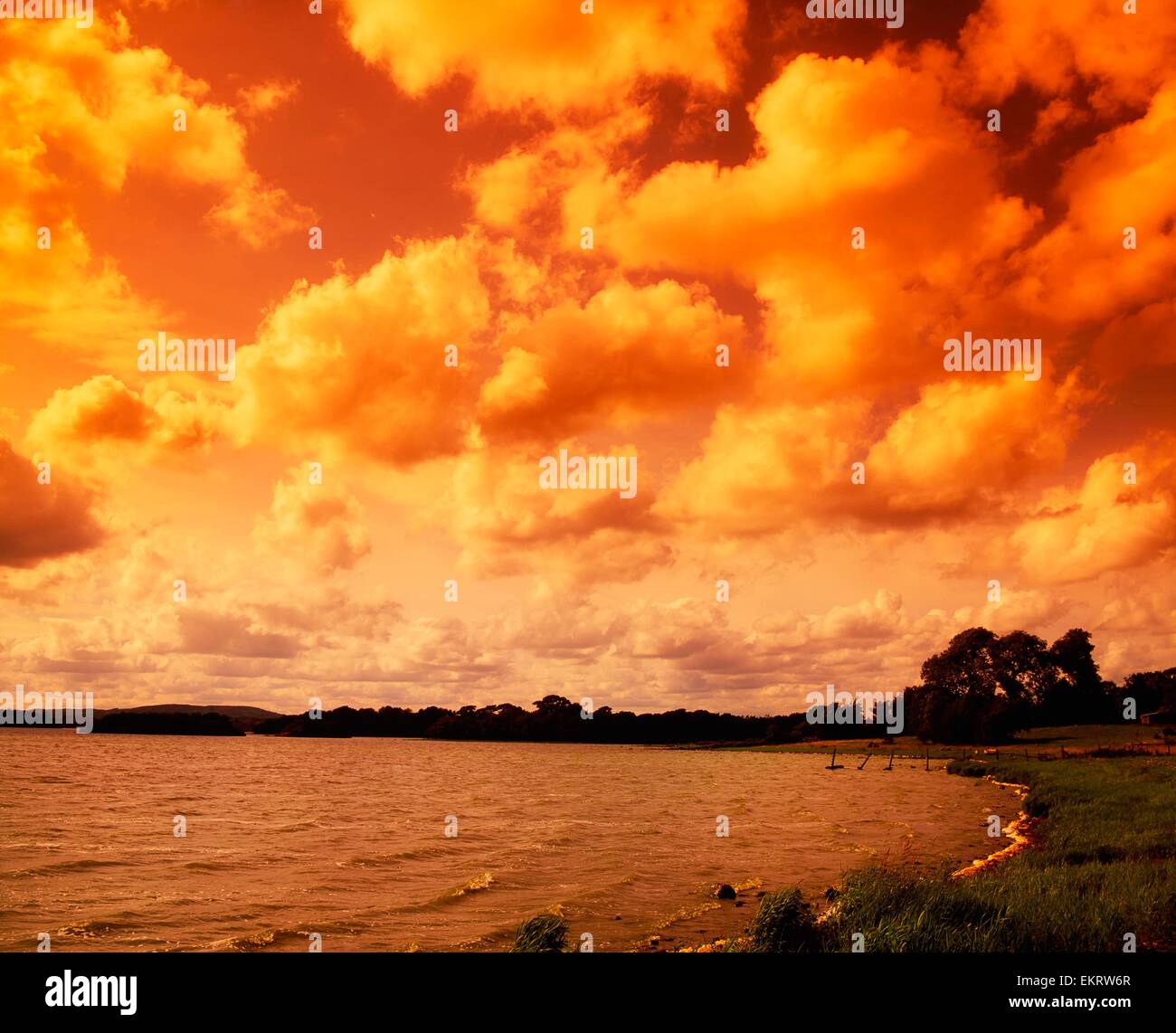 Co Cavan, Ireland, Virginia Water Stock Photo Alamy