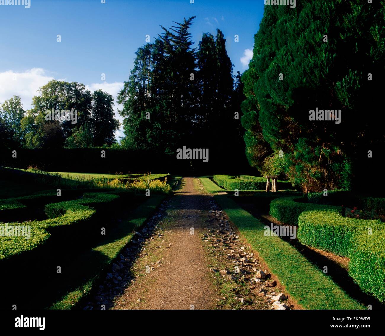 Castletownroche, Co Cork, Ireland, Anne's Grove, Topiary Box Hedges