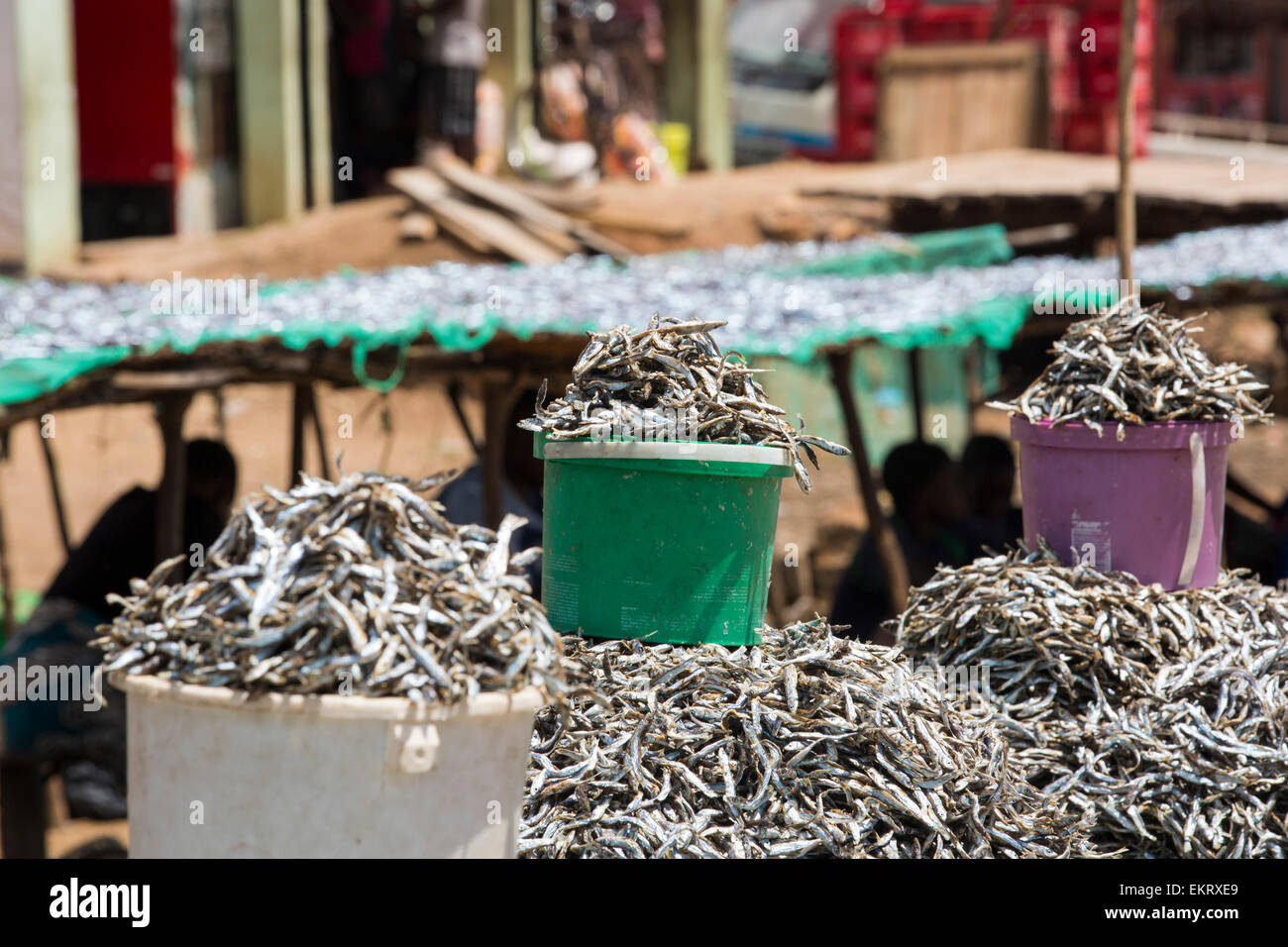 Dried fish caught in Lake Malawi, on a market stall near Cape Maclear