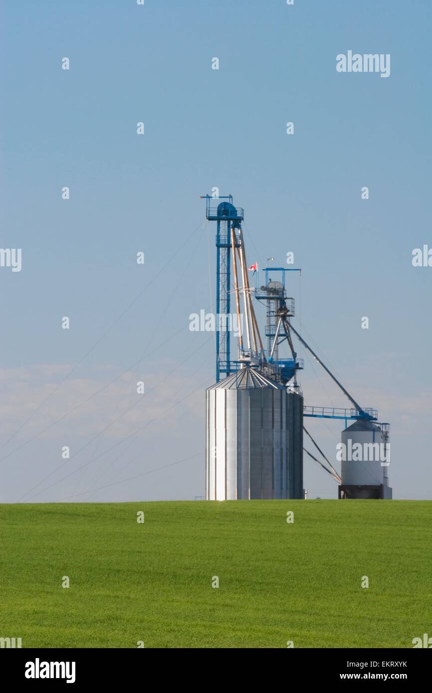 Large Metal Grain Bins, Alberta, Canada Stock Photo Alamy