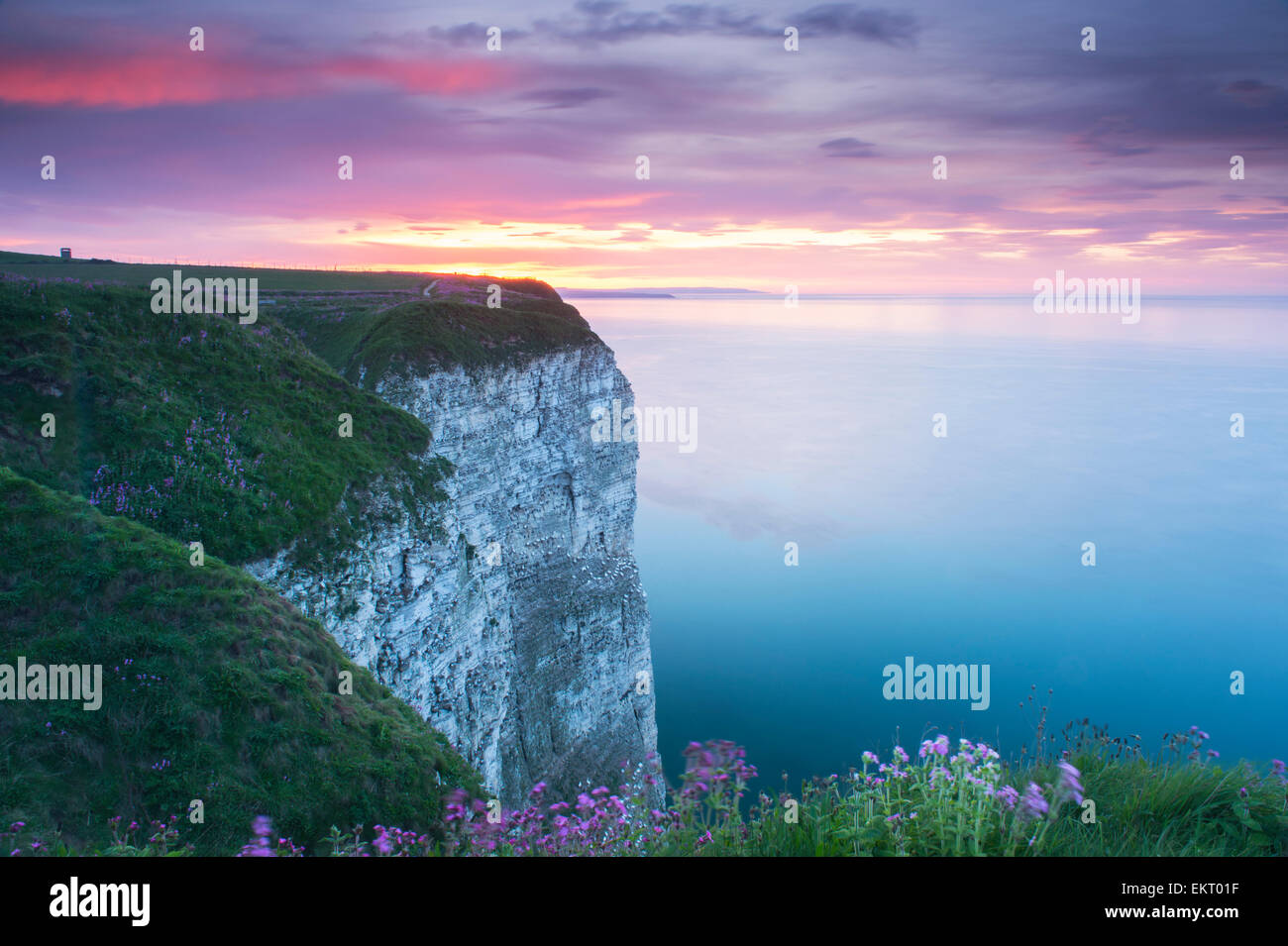 Sunset & colourful sky over high chalk cliff & calm blue sea (picturesque coastal scenery) - Bempton Cliffs, Bridlington, East Yorkshire, England, UK. Stock Photo