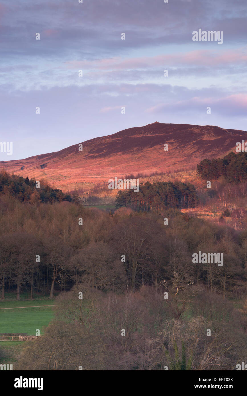 Sunny spring evening scenic view towards steep wooded hillside, fells & summit of Beamsley Beacon under pink blue sky - North Yorkshire, England, UK. Stock Photo