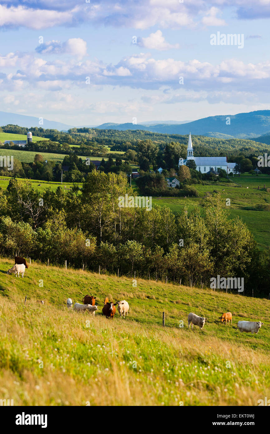 Saint Venant De Paquette, Eastern Townships, Quebec Stock Photo Alamy